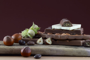 Helle und dunkle Schokolade und Haselnusse auf einem Holzbrett