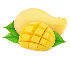 Composition with whole and curved thai mangoes with leaves isolated on white background. As design...