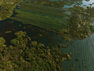 Aerial view famous floating gardens on the Inle Lake, Myanmar