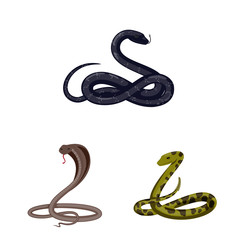 Vector illustration of poison and evil icon. Collection of poison and bite stock symbol for web.