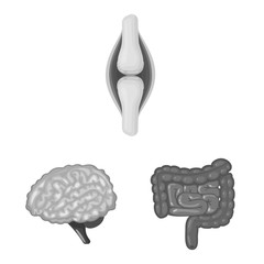 Vector design of internal and medical sign. Collection of internal and health stock vector illustration.