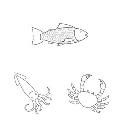 Vector illustration of food and sea symbol. Set of food and healthy stock symbol for web.
