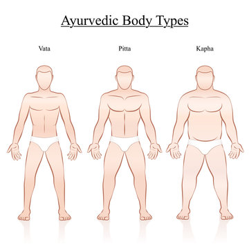 Male body constitution types - ayurvedic typology - vata, pitta, kapha. Isolated outline vector illustration of men - frontal view - different anatomy.