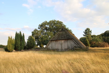 Alter Schafstall in der Lüneburger Heide im Abendlicht