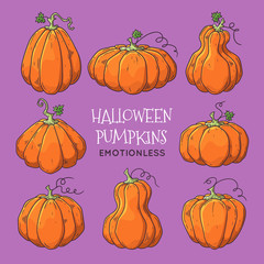 Vector hand drawn illustrations. Realistic symbol of Halloween - pumpkin.