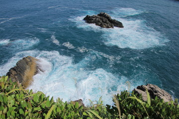 足摺岬から見た太平洋