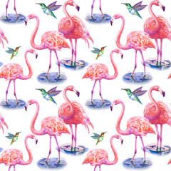 Two lovers pink flamingo standing in water. isolated on white background. Watercolor illustration
