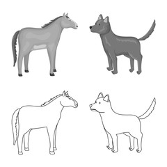 Vector illustration of breeding and kitchen symbol. Collection of breeding and organic stock vector illustration.