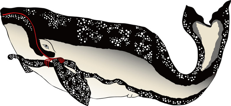 鯨イラスト和風 の画像 2 374 件の Stock 写真 ベクターおよびビデオ Adobe Stock