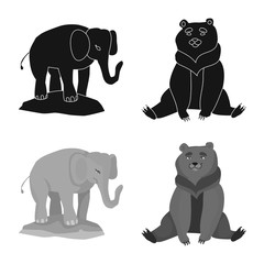 Naklejka premium Isolated object of nature and fun logo. Set of nature and entertainment vector icon for stock.