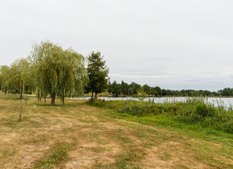 Nature et environnement autour du plan d'eau de Servant, Pays de Combrailles dans le Puy-de-Dôme