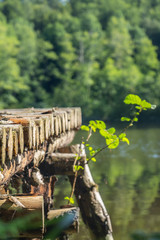 Mindelsee - Süddeutschland