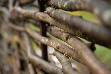 wooden wicker fence of branches made of twigs