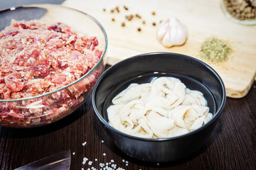 Making homemade sausage