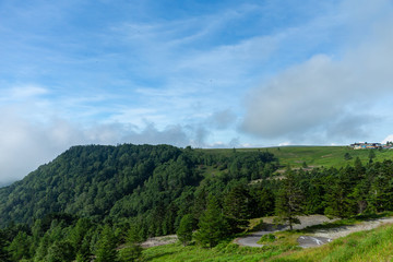 Obraz premium 雲海