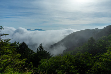 Obraz premium 雲海