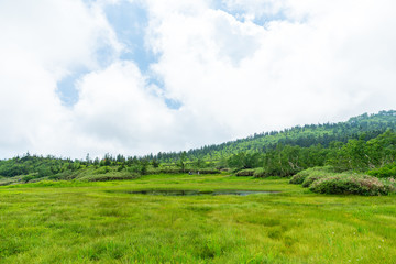 自然　登山　旅行 白馬大池