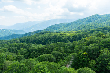 Naklejka premium Naturalna wycieczka alpinistyczna Hakuba Oike