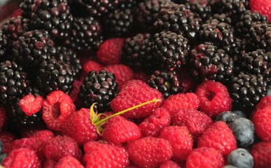 fruit, food, berry, raspberry, berries, red, blackberry, raspberries, fresh, strawberry, healthy, sweet, ripe, blueberry, fruits, dessert, juicy, organic, freshness, diet, strawberries, black, nature,