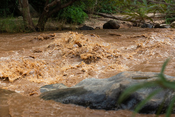 Natural disaster,powerful water currents and rapids churning in flowing stream river,dangerous flash flood of waterfall in nature,the major cause heavy flooding,including the impact of deforestation 