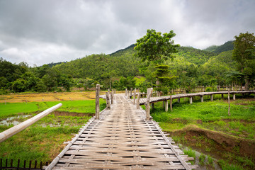 Fototapeta na wymiar Mountain view and beautiful landscape bamboo bridge,Boon Bridge or Kho Koo So over rice fields in outdoor green nature in the valley,travel in Pai,Chiang Mai,Thailand