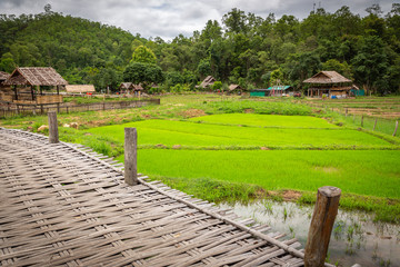 Mountain view and beautiful landscape bamboo bridge,Boon Bridge or Kho Koo So over rice fields in outdoor green nature in the valley,travel in Pai,Chiang Mai,Thailand