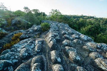 THAILAND PHITSANULOK NATIONAL PARK