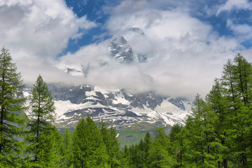 Summer alpine landscape near Breuil-Cervinia, Aosta Valley, Italy