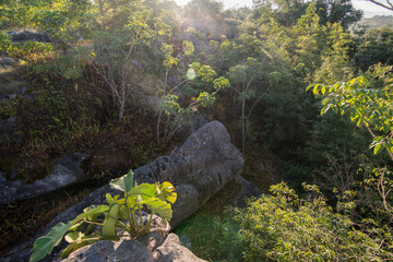 THAILAND PHITSANULOK NATIONAL PARK