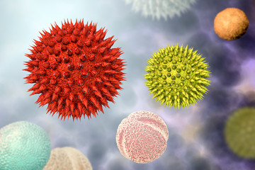 Pollen grains from different plants, 3D illustration. They are factors causing hay fever and allergic rhinitis