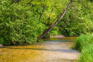 The naturalistic oasis of Fontane Bianche in Italy