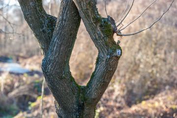 The naturalistic oasis of Fontane Bianche in Italy