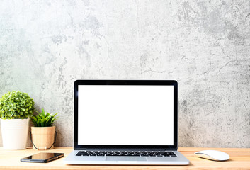 Fototapeta premium blank screen Modern laptop computer with mouse,Smart phone and Succulent on wood table in office view backgrounds