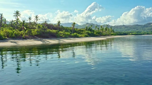 Aerial view of tropical beach with palm trees in Philippines