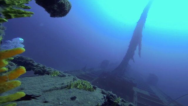 Scuba Diving Inside The Shipwreck