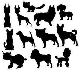 Silhouettes pets on white background is insulated
