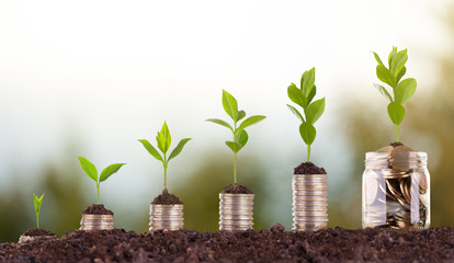 Growing Money - Plant On Coins - Finance growth And Investment Concept