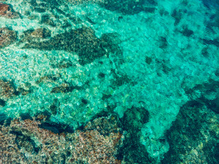 Coral reef shines through blue water of sea, top view
