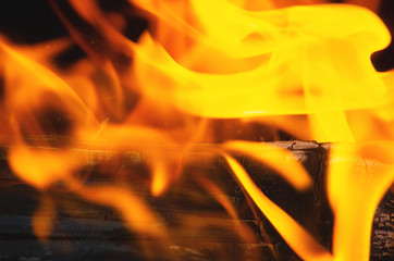 fire pattern along with the wooden log