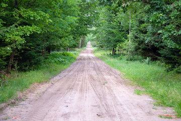 Fototapeta premium Gravel and sand road in the pine forest. Diminishing perspective of the path in the woods. Walking or driving through the trees on the forrest road with green grass on the sides