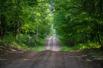 Gravel and sand road in the pine forest. Diminishing perspective of the path in the woods. Walking or driving through the trees on the forrest road with green grass on the sides
