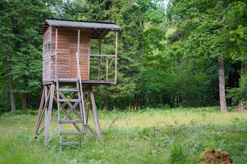 Obraz premium Hunters hut in the forest by the road. Hunter tower or watch post in the wilderness. Hunter post is a wooden structure to watch and shoot at wild animals