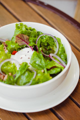 fresh healthy salads