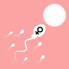 sperm and egg. vector illustration