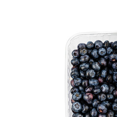 Bilberry