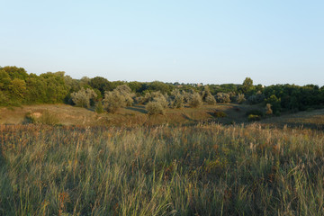 Obraz premium Ukrainian meadow hills at sunset, summer time