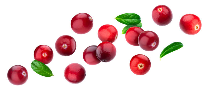 Cranberry isolated on white background with clipping path