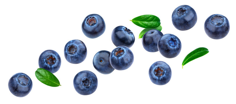 Blueberry isolated on white background with clipping path