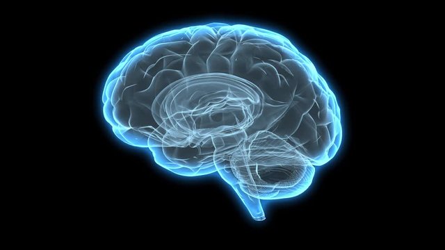 Rotating Hologram of Human Brain | Glowing Human Brain Model Spinning 360 Degree | Seamless Looping Motion 3D Animated Background | Blue Cyan