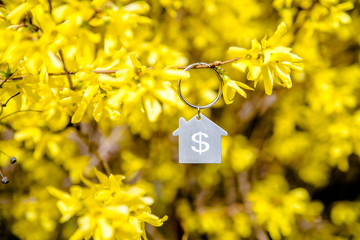 The symbol of the house among the branches of the Forsythia 